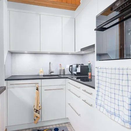 Cozy Diemtigtal Maisonette - Alpine Charm Parking Apartment Diemtigen